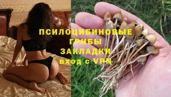 дурь Алексин