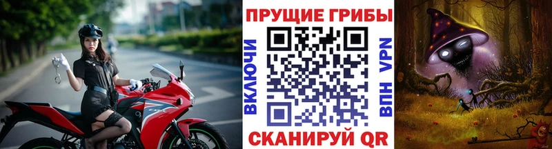 Псилоцибиновые грибы MAGIC MUSHROOMS  Каневская 