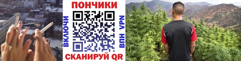 Каннабис конопля  hydra tor  Каневская  купить  